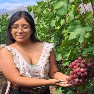 Turista disfrutando del tour en Cascas, recorriendo viñedos y sosteniendo uvas frescas del norte del Perú